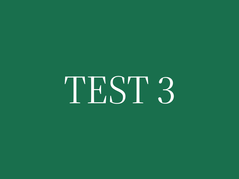 TEST 3