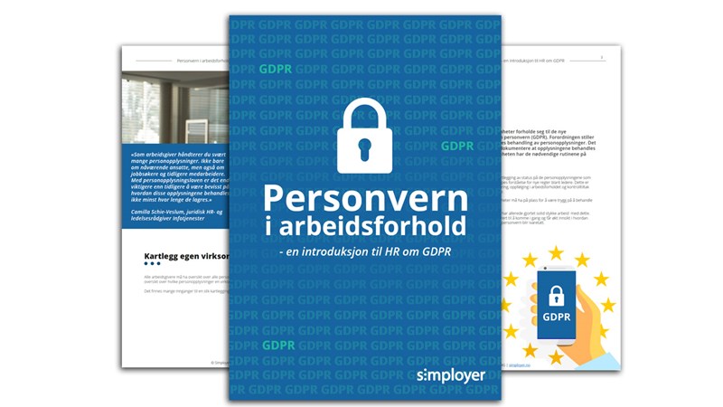 guide-personvern-i-arbeidsforhold-illu-1