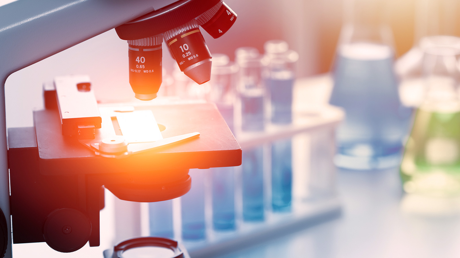 Lab