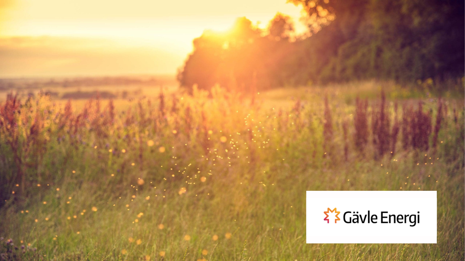 Gävle Energi website header