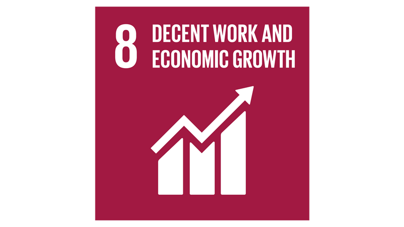 8 - Decent work and economic growth